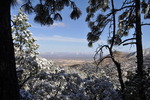 photo thumbnail #2