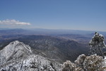 photo thumbnail #7