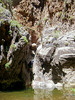photo thumbnail #11