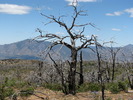 photo thumbnail #3