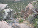 photo thumbnail #12