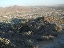 photo thumbnail #8