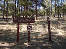 photo thumbnail #8