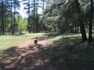 photo thumbnail #3