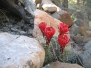 photo thumbnail #6
