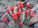 photo thumbnail #8