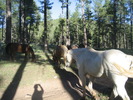 photo thumbnail #11