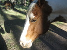 photo thumbnail #12