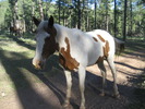 photo thumbnail #13