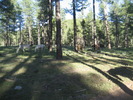 photo thumbnail #14