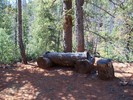 photo thumbnail #7