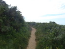 photo thumbnail #2