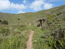 photo thumbnail #14
