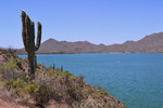 photo thumbnail #3