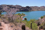 photo thumbnail #7