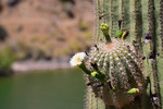 photo thumbnail #14