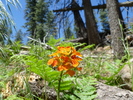 photo thumbnail #2