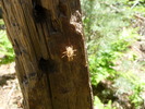 photo thumbnail #3