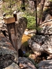photo thumbnail #14