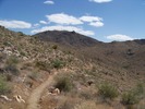 photo thumbnail #4