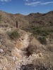 photo thumbnail #5