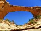 photo thumbnail #12