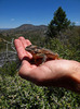 photo thumbnail #8