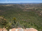 photo thumbnail #12