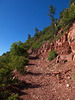 photo thumbnail #5