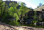 photo thumbnail #15