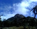 photo thumbnail #11