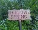 photo thumbnail #13