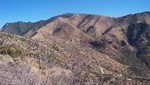 photo thumbnail #8