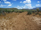 photo thumbnail #4