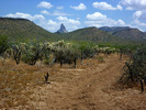 photo thumbnail #5