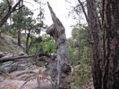 photo thumbnail #3