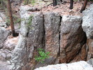 photo thumbnail #5