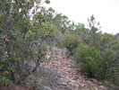 photo thumbnail #9