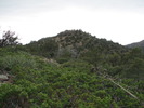 photo thumbnail #11