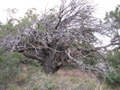 photo thumbnail #12