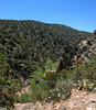 photo thumbnail #12