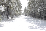 photo thumbnail #2