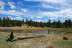 photo thumbnail #8