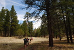 photo thumbnail #10