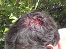 photo thumbnail #6