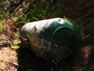 photo thumbnail #11