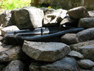 photo thumbnail #12