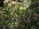 photo thumbnail #14