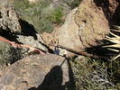photo thumbnail #1