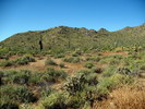 photo thumbnail #2